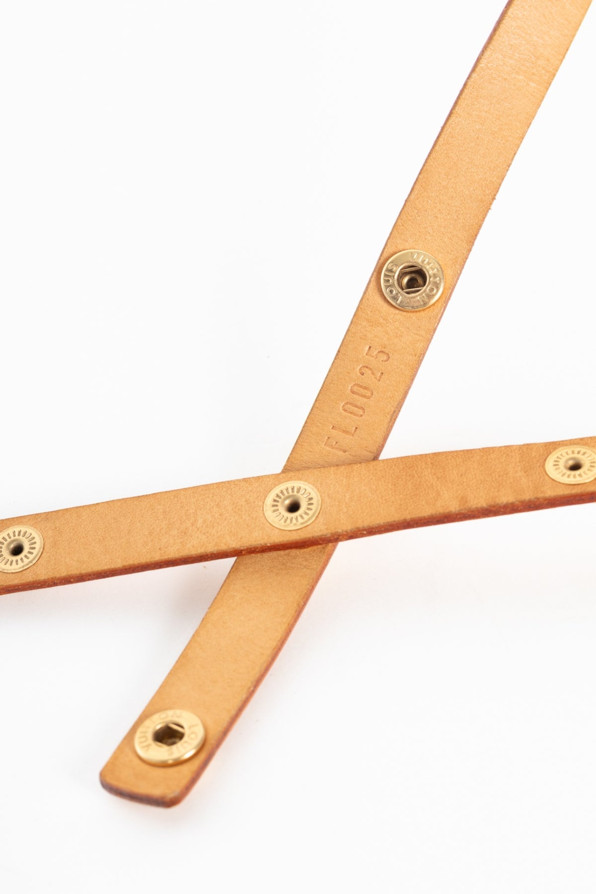 Louis Vuitton Florentine Monogram Canvas Belt Bag