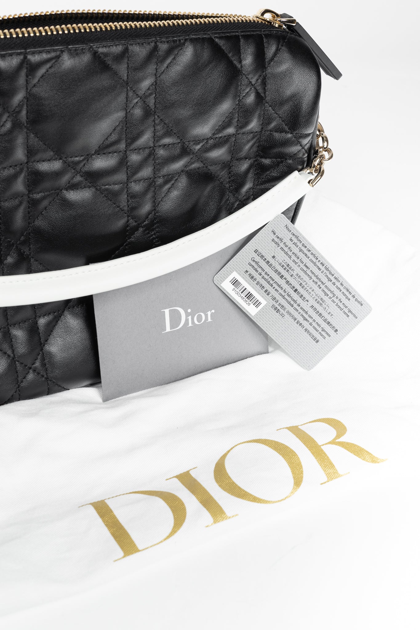 Christian Dior Vibe Medium Black Cannage Hobo