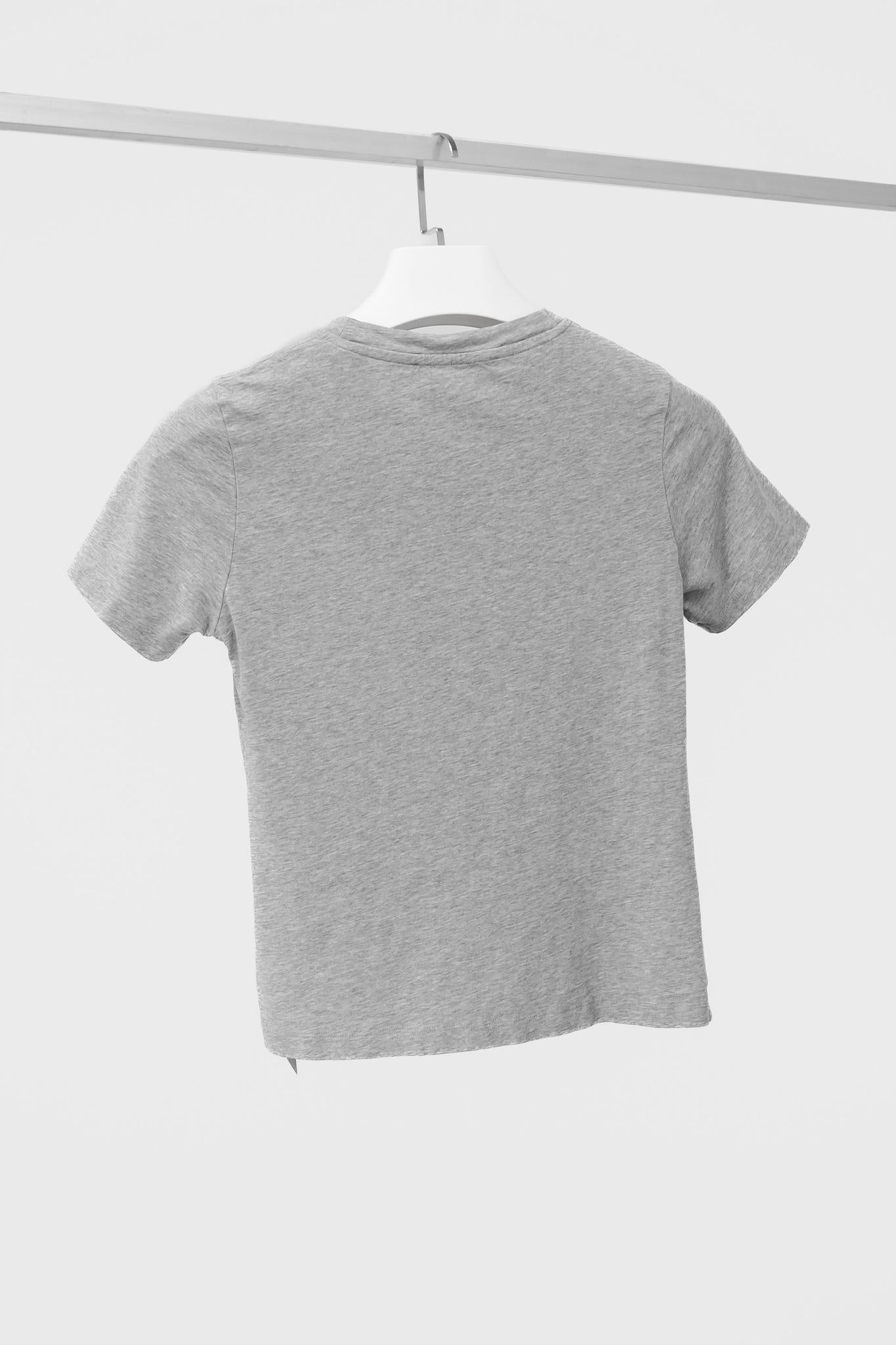 Acne Studios PAW 16 Heather Grey Dorla Tee