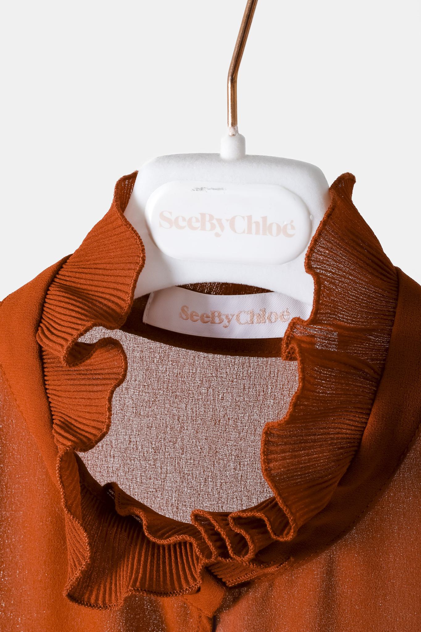 See By Chloé PF/19 Earthy Red Embellished Georgette Dress