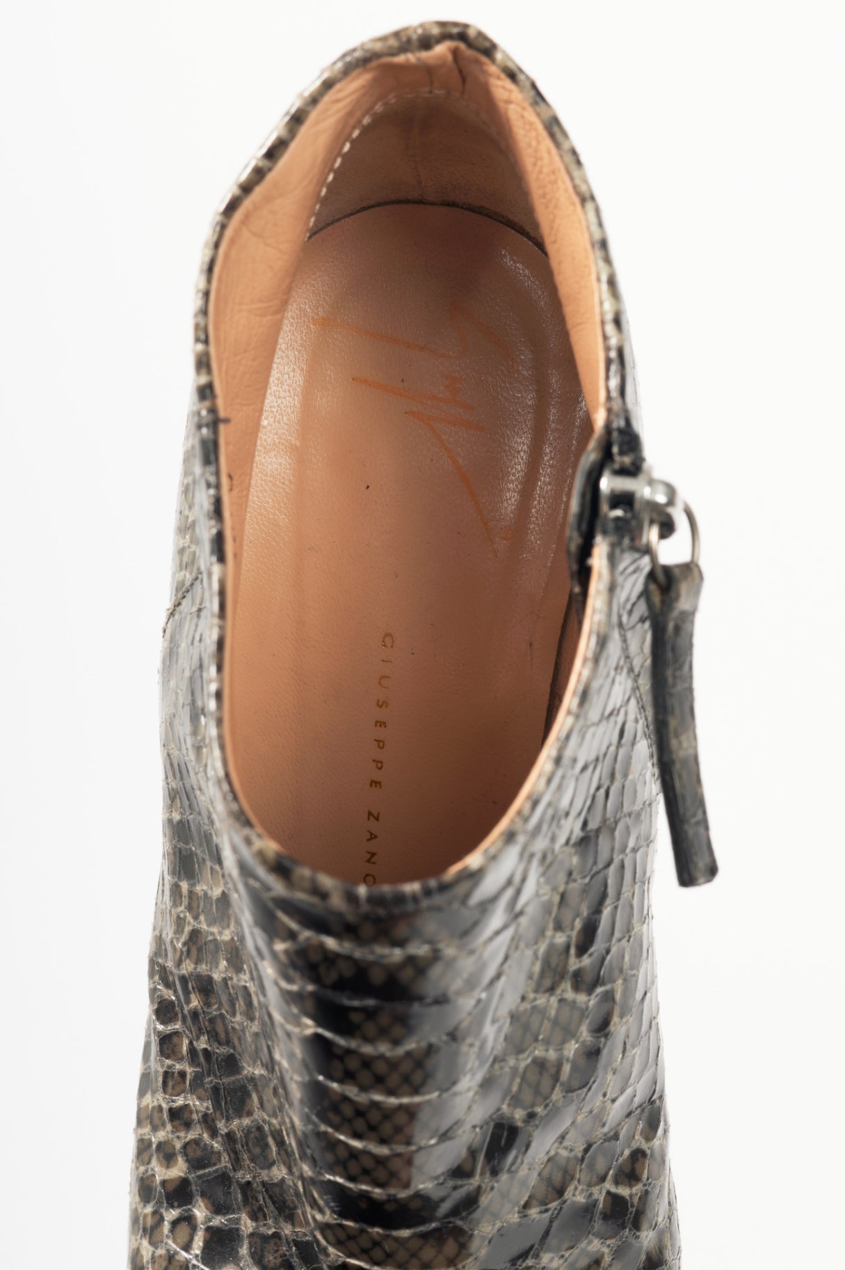 Giuseppe Zanotti Viv 100 Cenere Python Booties