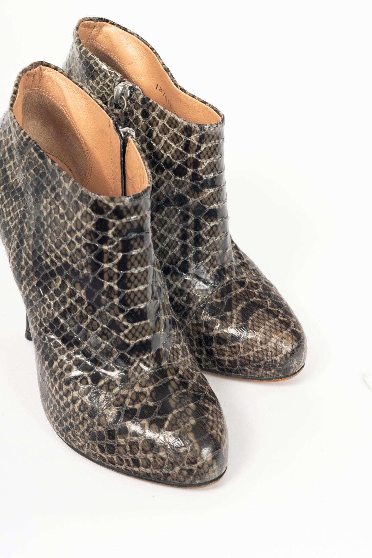 Giuseppe Zanotti Viv 100 Cenere Python Booties
