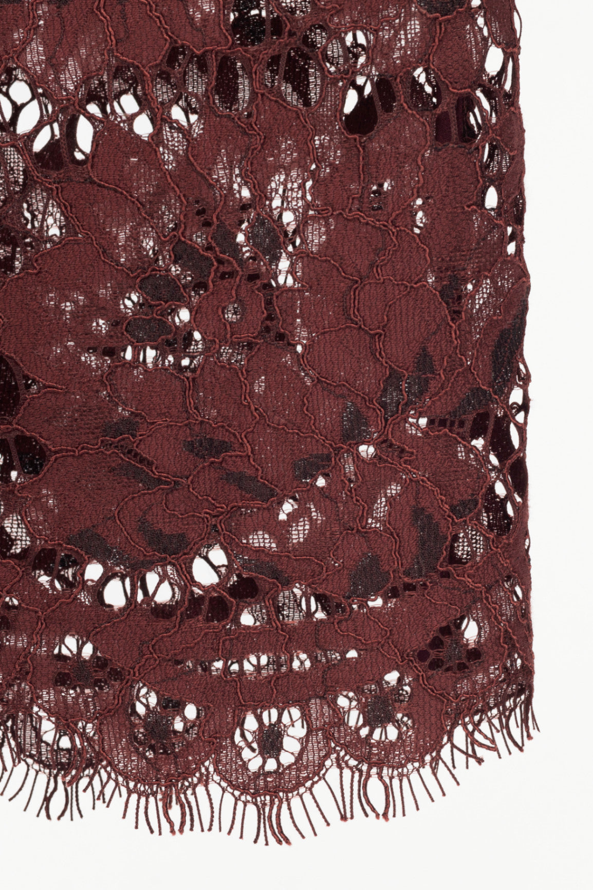 Self-Portrait AW25 Burgundy Floral Lace Midi Dress