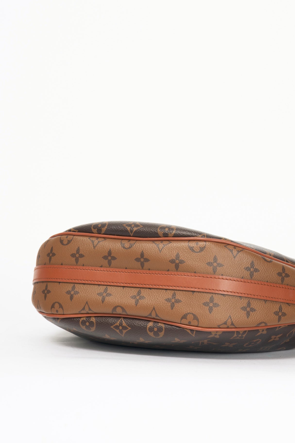 Louis Vuitton Loop Monogram & Monogram Reverse Canvas Hobo