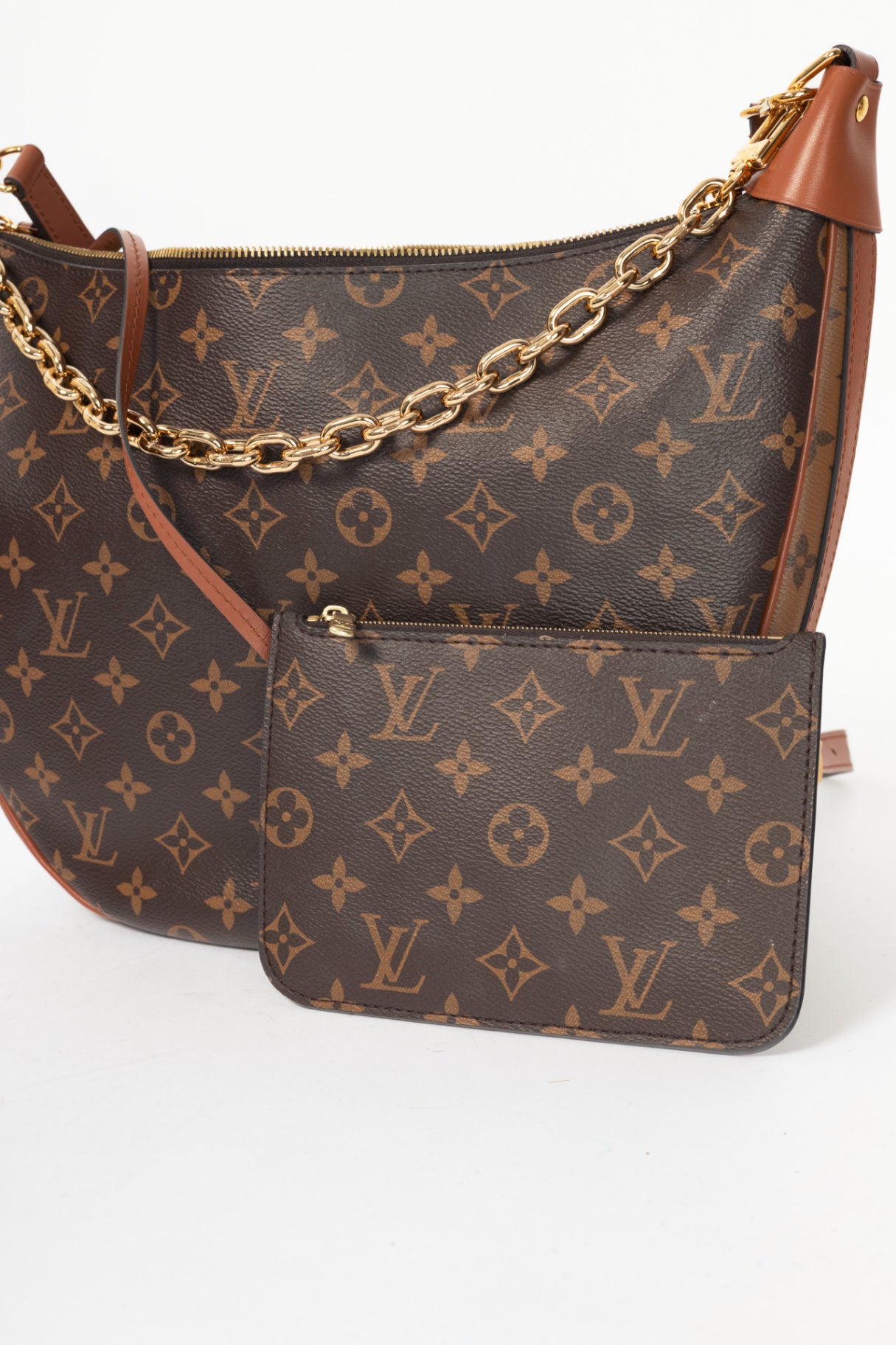 Louis Vuitton Loop Monogram & Monogram Reverse Canvas Hobo