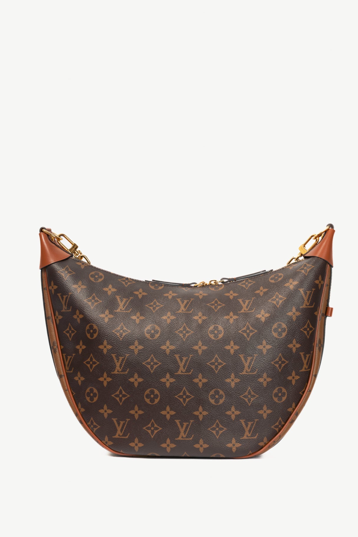 Louis Vuitton Loop Monogram & Monogram Reverse Canvas Hobo