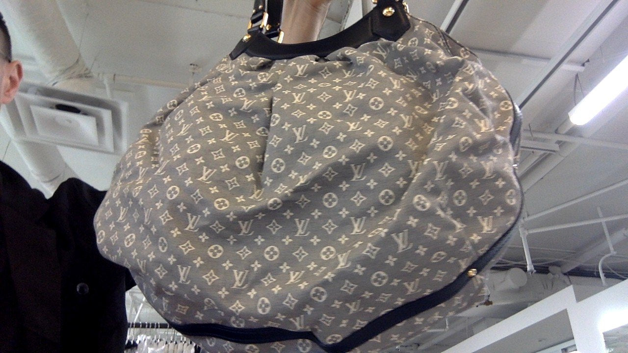 Louis Vuitton Mini Lin Grey Hobo
