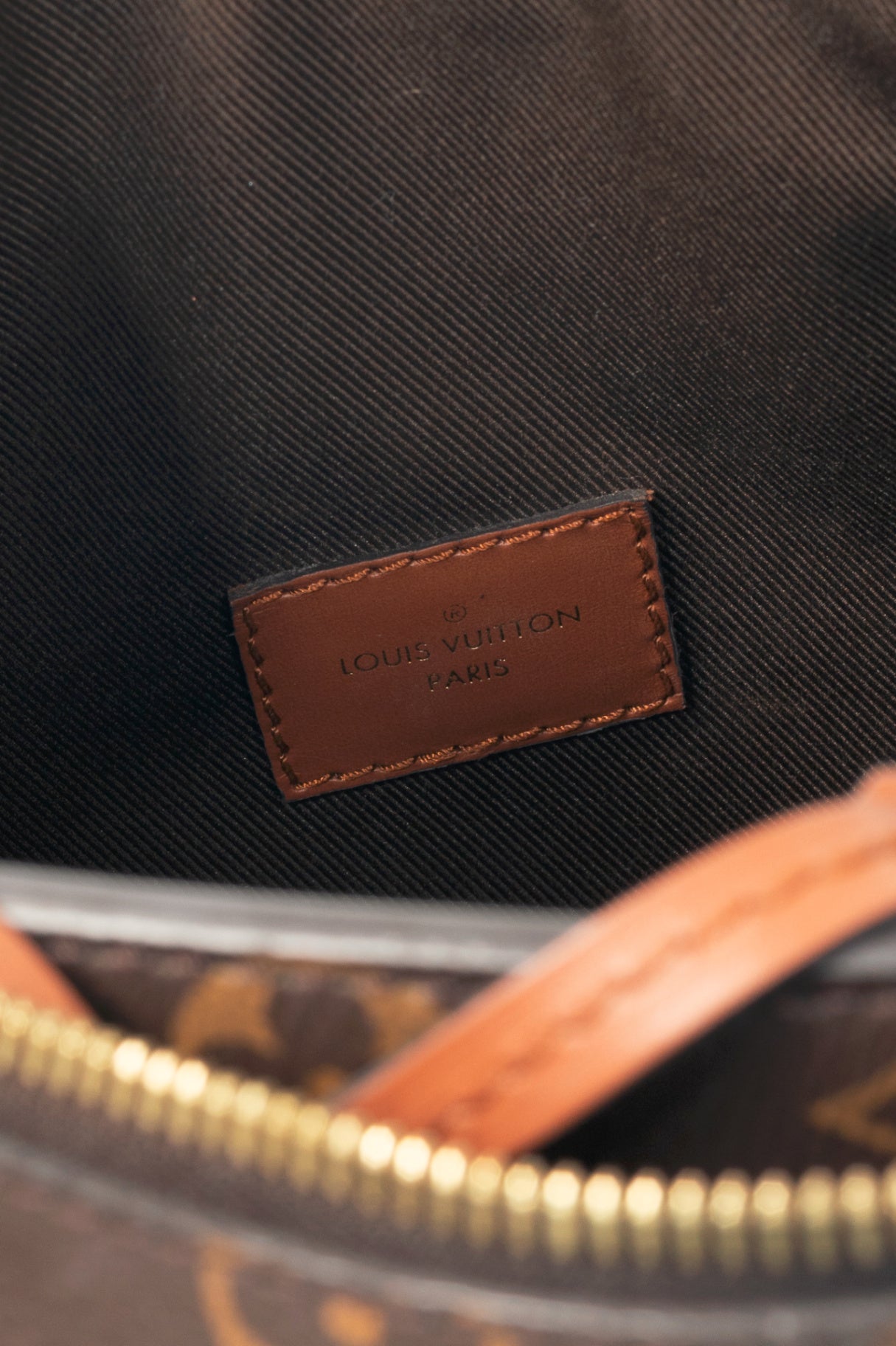 Louis Vuitton Loop Monogram & Monogram Reverse Canvas Hobo