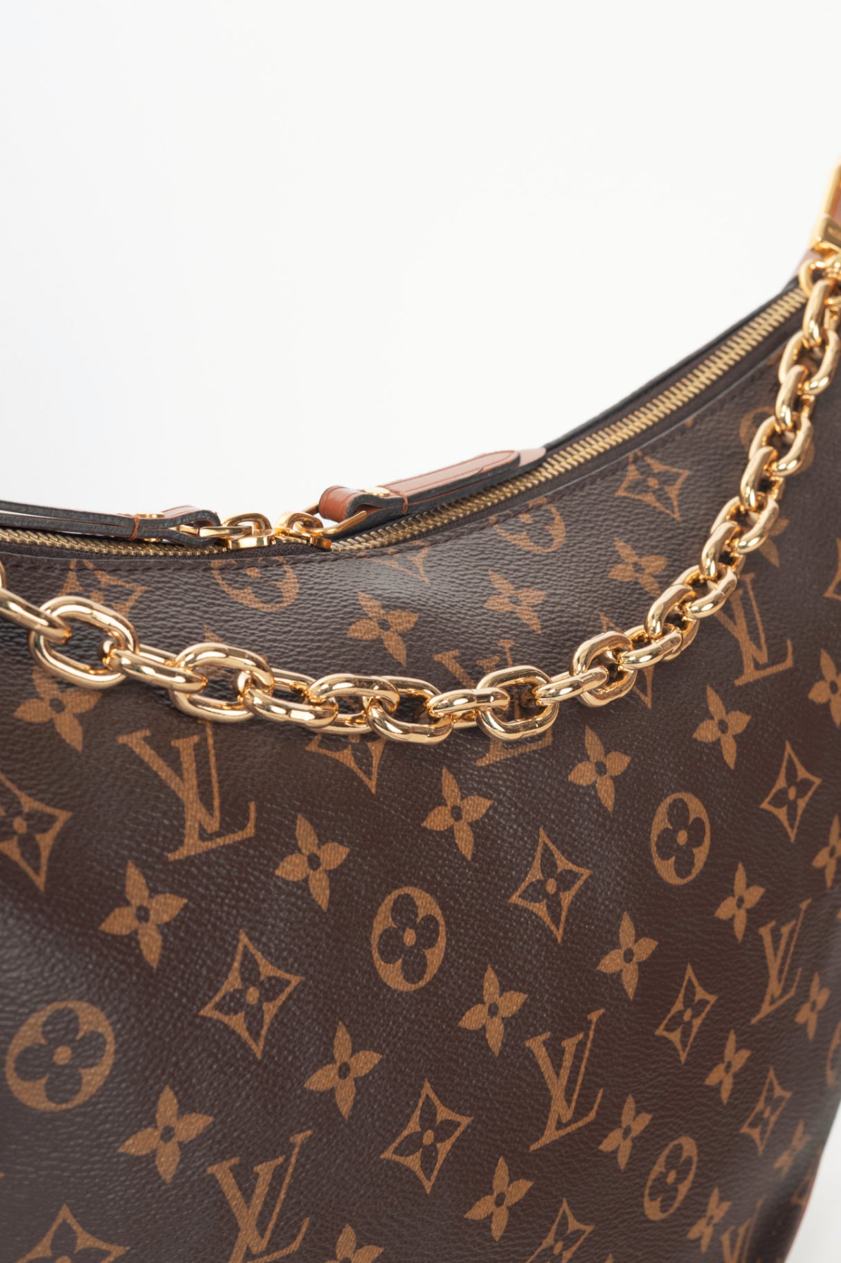 Louis Vuitton Loop Monogram & Monogram Reverse Canvas Hobo