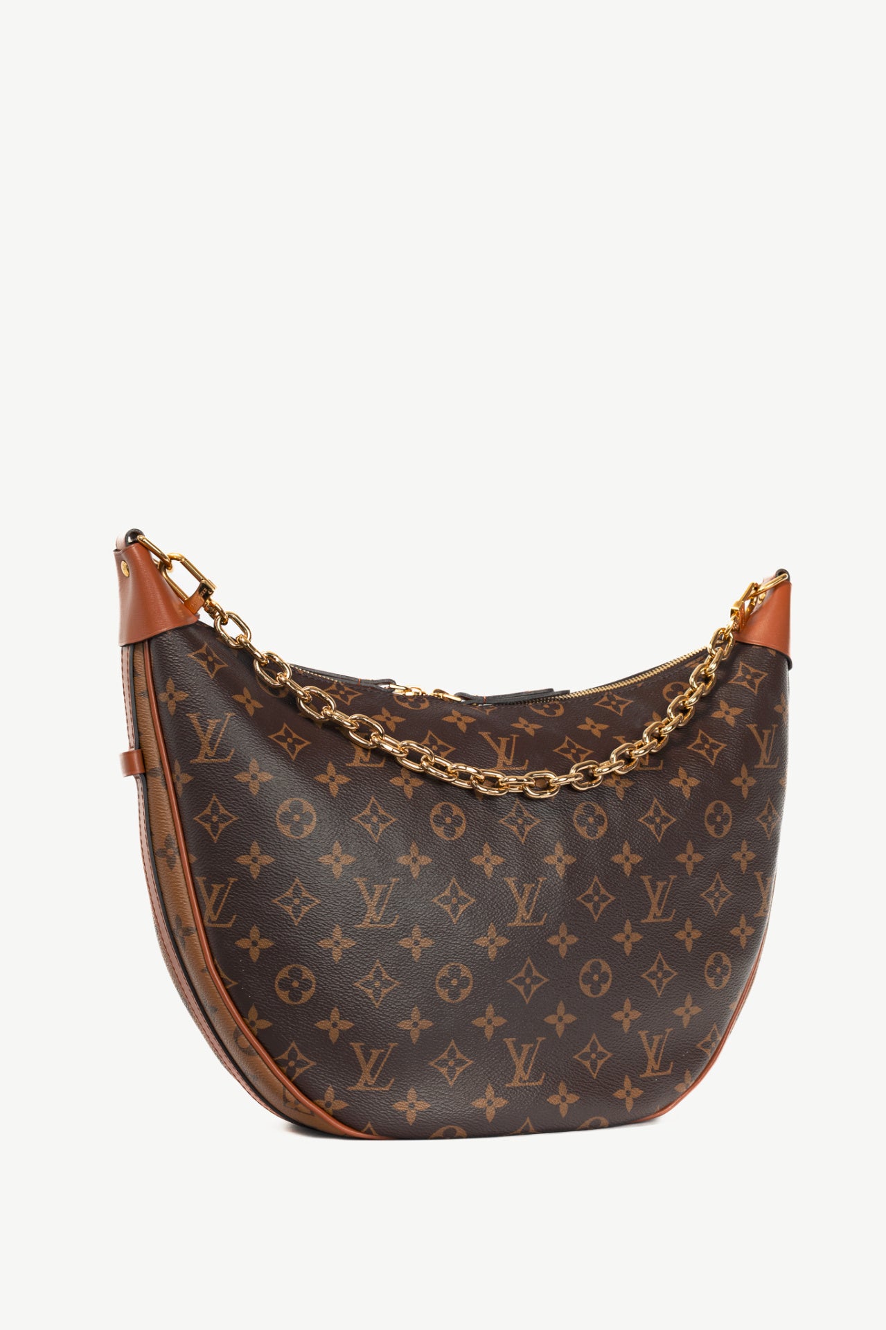 Louis Vuitton Loop Monogram & Monogram Reverse Canvas Hobo