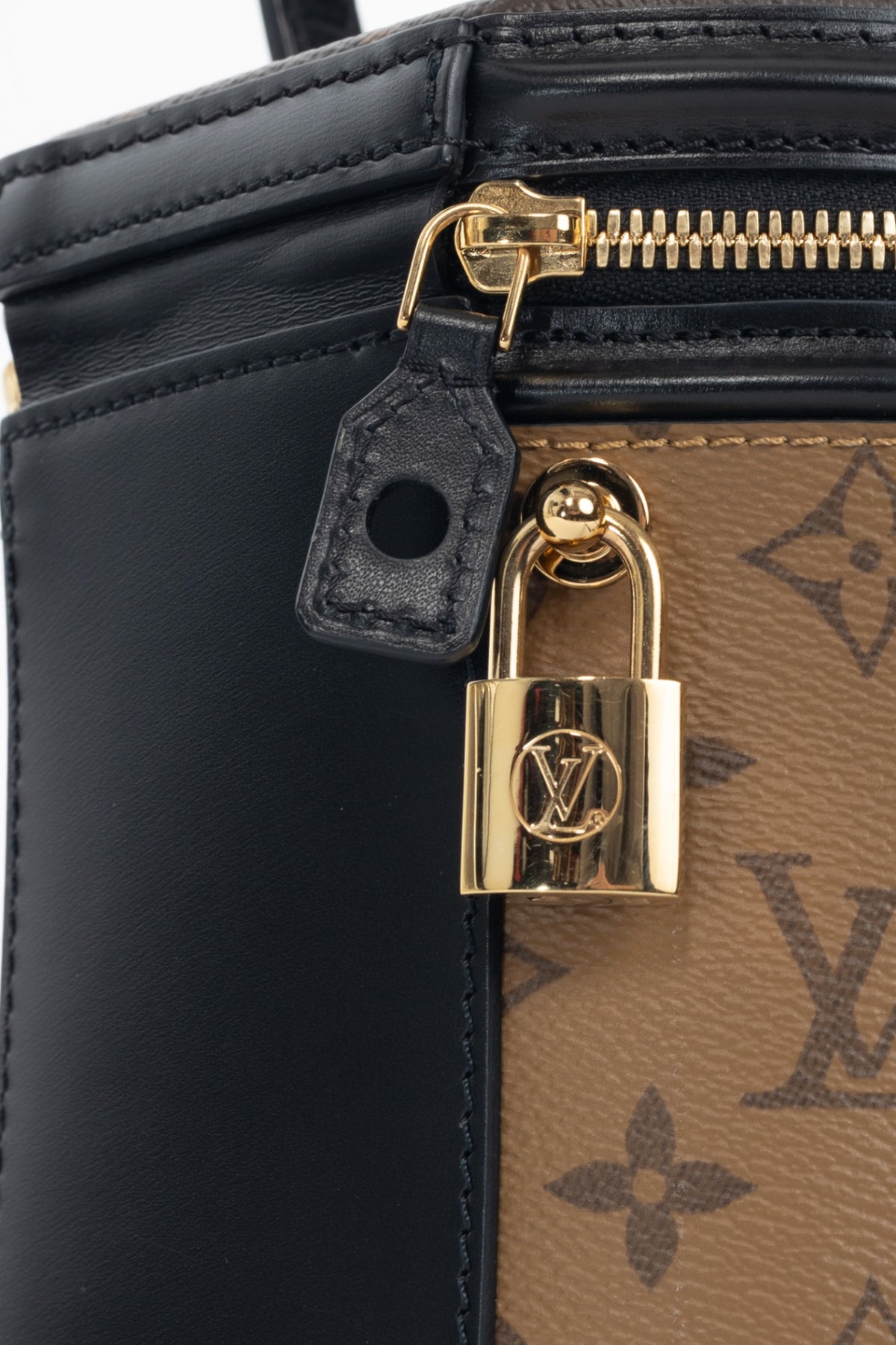 Louis Vuitton Cannes Monogram & Monogram Reverse Top-Handle Bag