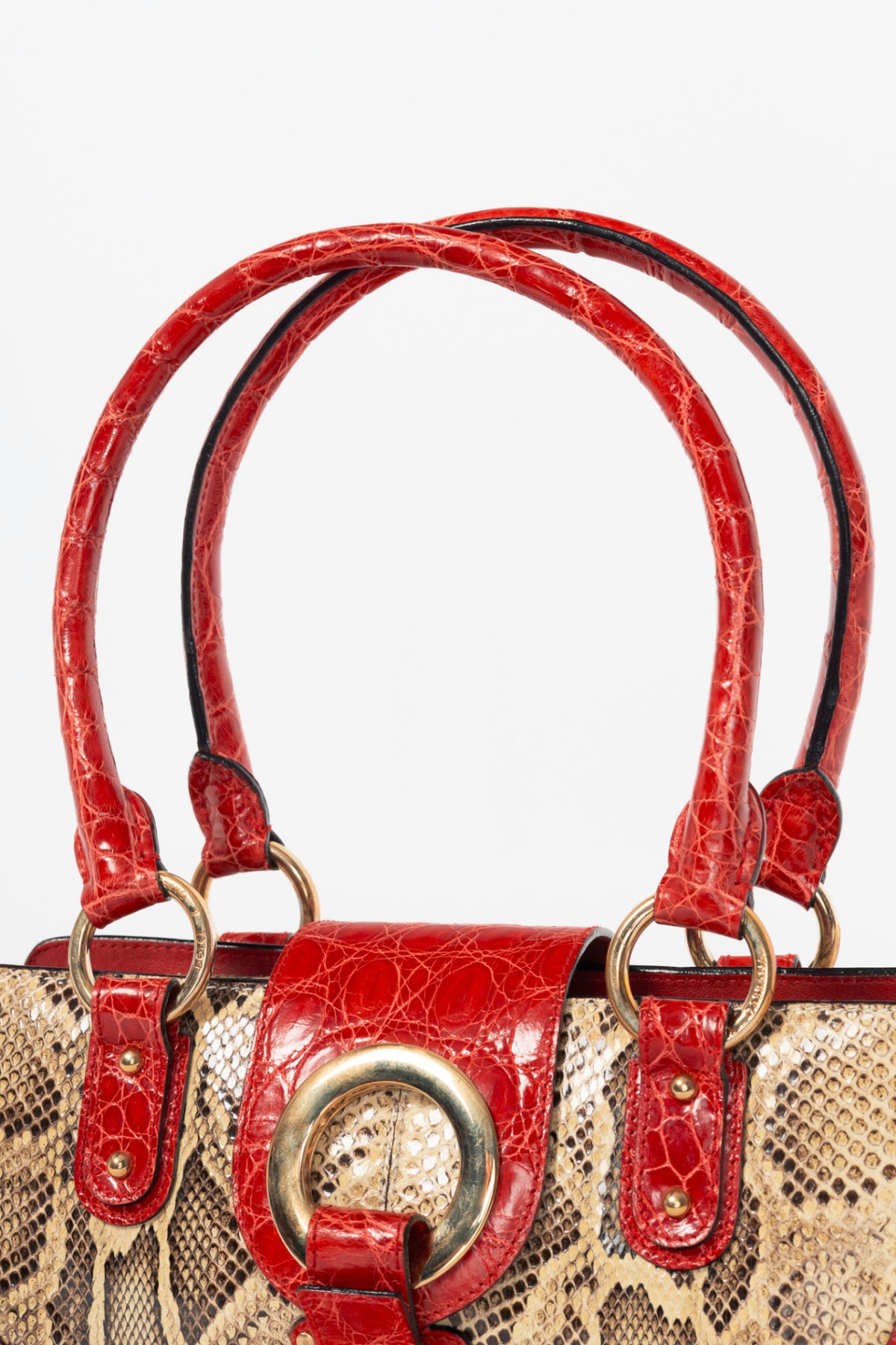 Dolce & Gabbana Beige Python & Red Croc-Embossed Leather Studded Handbag