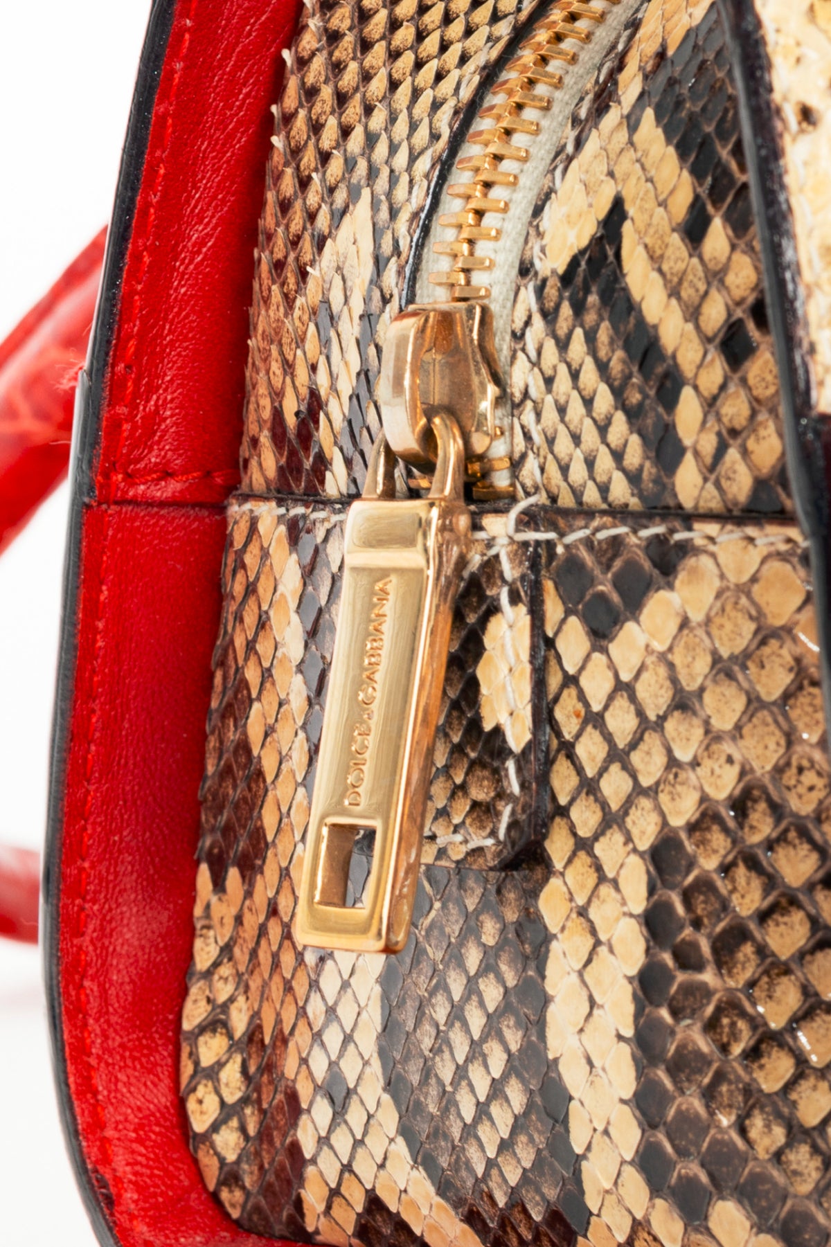 Dolce & Gabbana Beige Python & Red Croc-Embossed Leather Studded Handbag