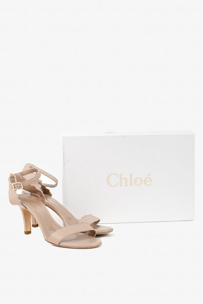 Chloe Lauren "Light Pastel" Nappa Leather Scalloped Sandals