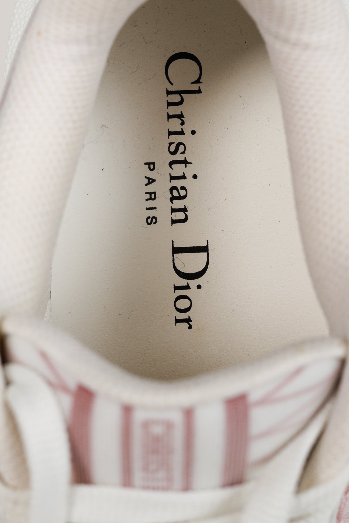 Dior Addict Framboise Toile de Jouy Neoprene Low-Top Sneakers