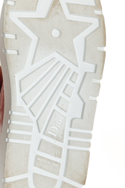 Dior Addict Framboise Toile de Jouy Neoprene Low-Top Sneakers