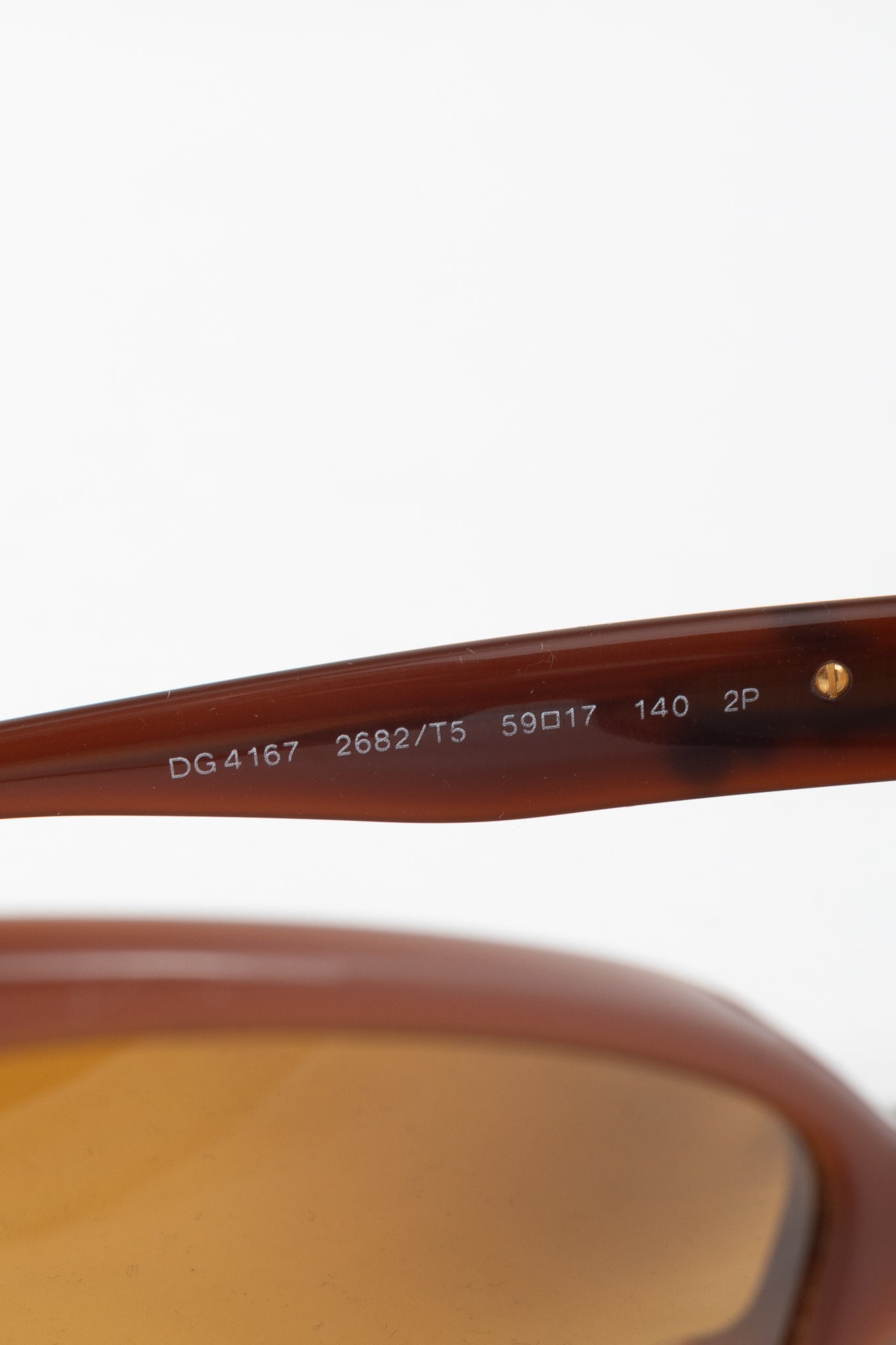 Dolce & Gabbana Sicilian Baroque Brown Cat-Eye Sunglasses