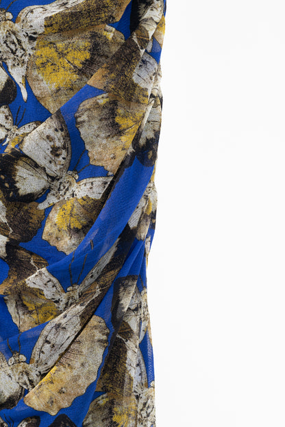 Fuzzi Blue Butterfly-Print Mesh Bodycon Dress