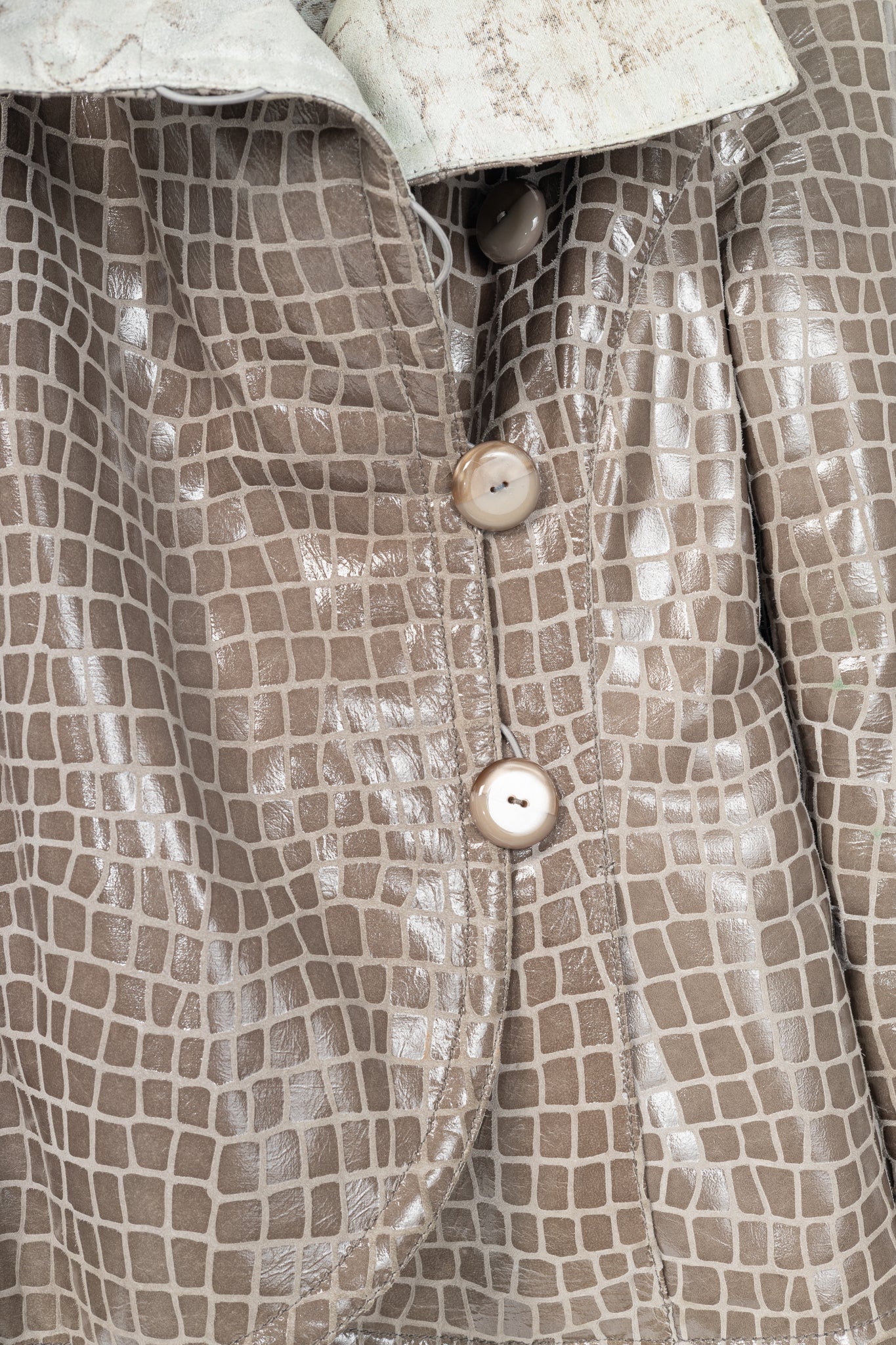 Giorgio Armani AW07 Runway Taupe Snakeskin-Pattern Leather Buttoned Jacket