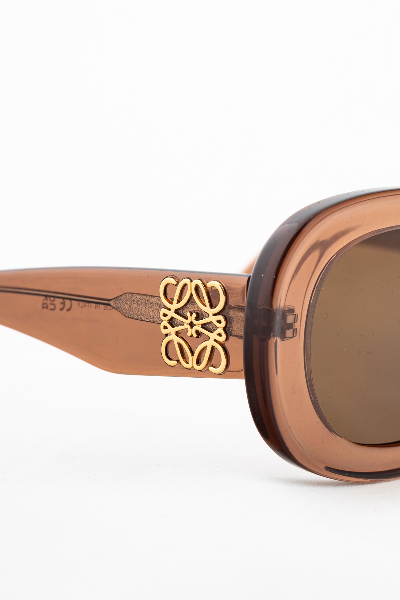 Loewe LW40120U Blush Acetate Anagram Sunglasses