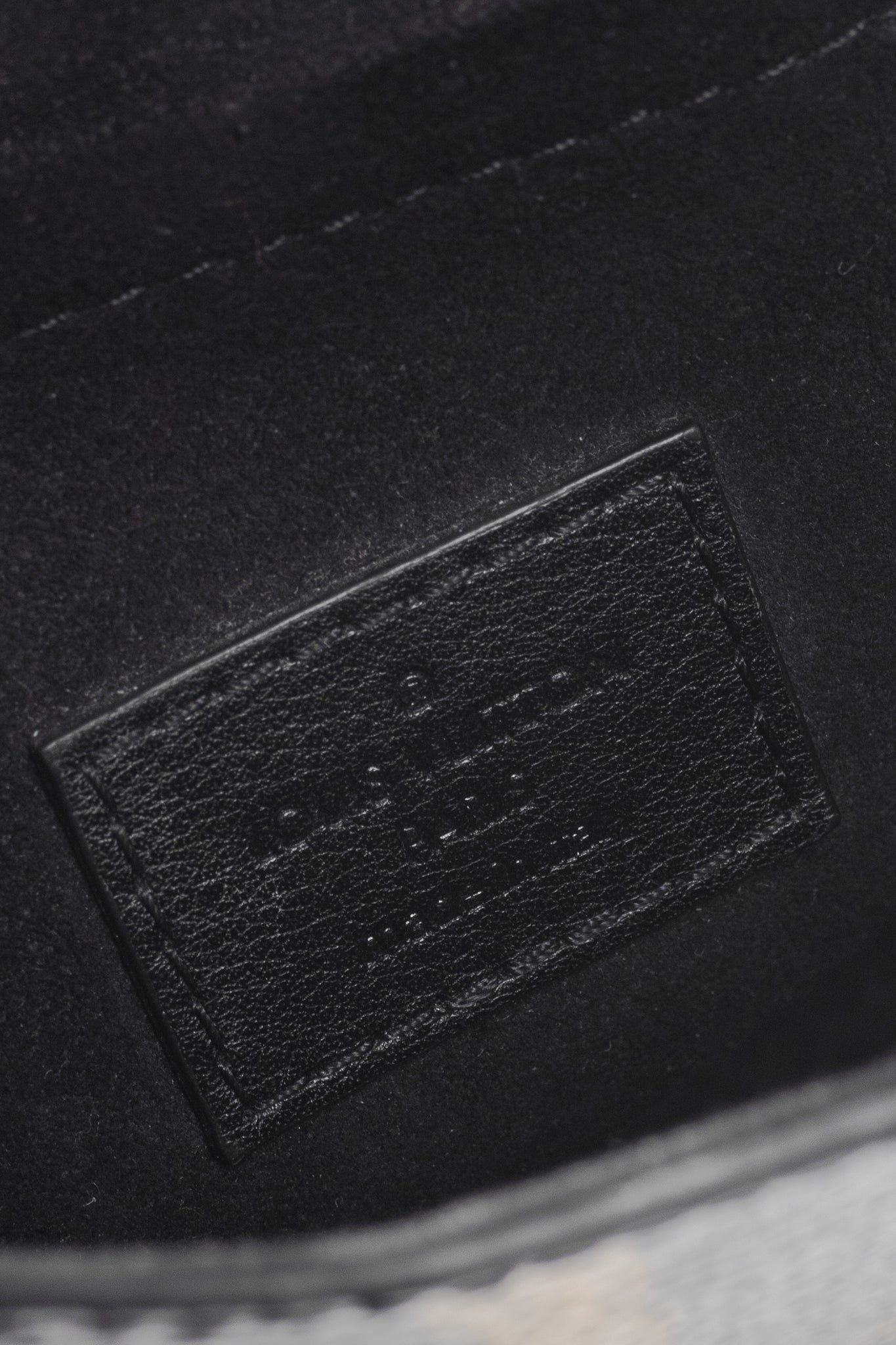 Louis Vuitton Camera Box Wild & Marron Monogram Canvas Handbag