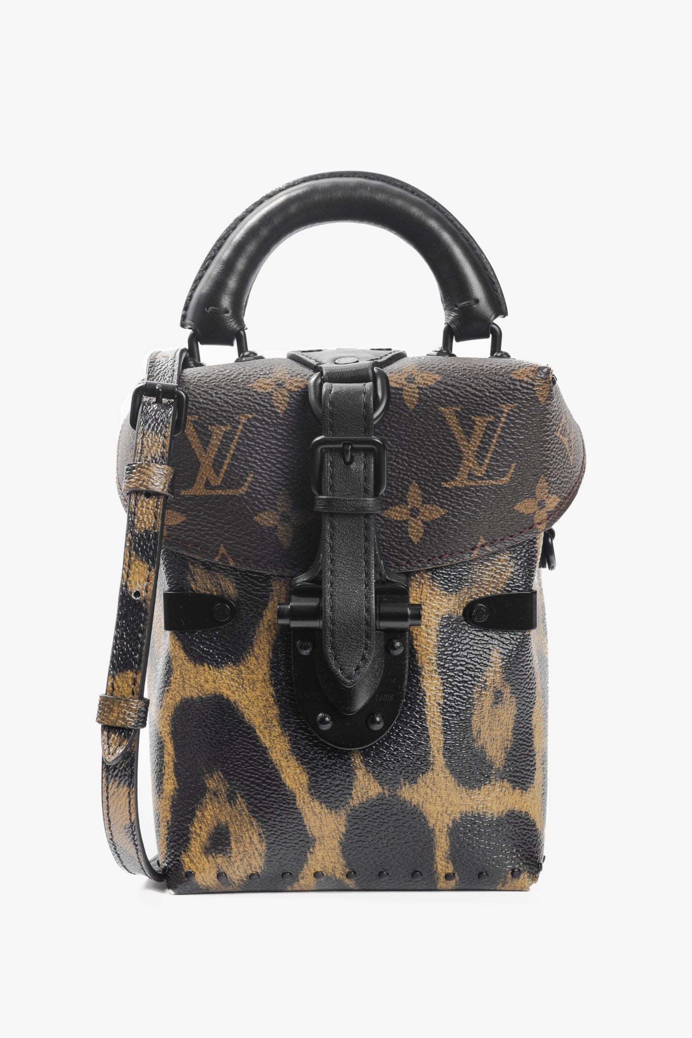 Louis Vuitton Camera Box Wild & Marron Monogram Canvas Handbag