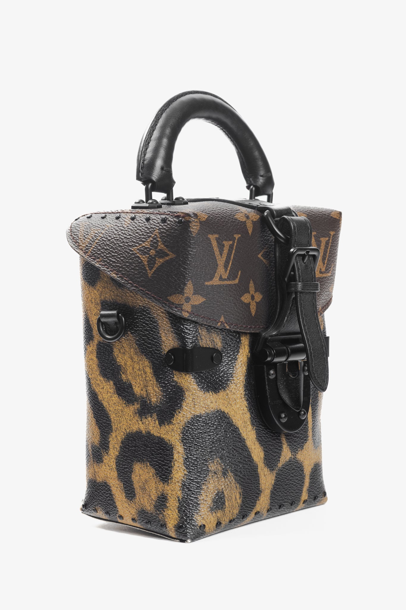 Louis Vuitton Camera Box Wild & Marron Monogram Canvas Handbag