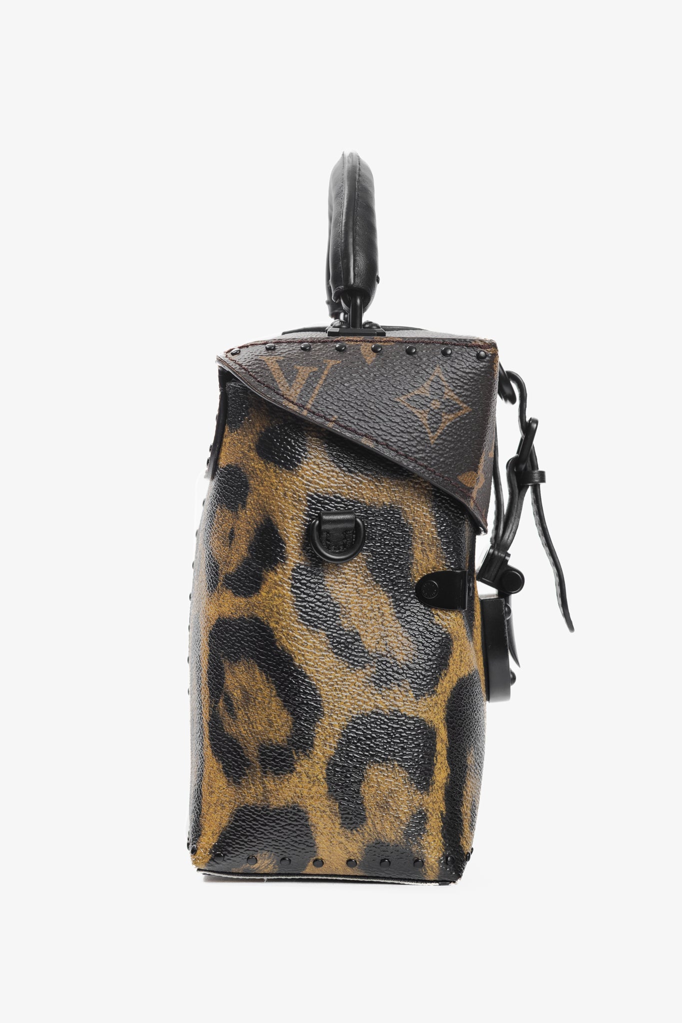 Louis Vuitton Camera Box Wild & Marron Monogram Canvas Handbag