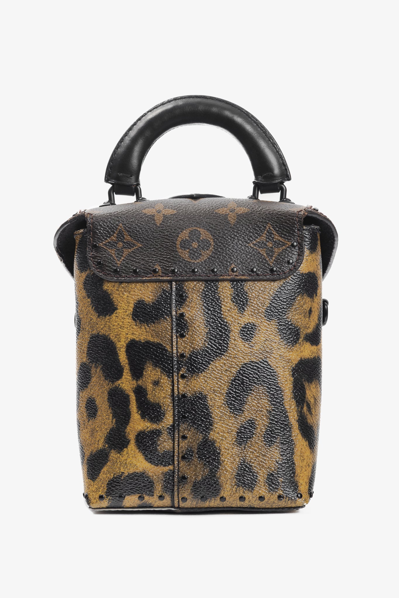 Louis Vuitton Camera Box Wild & Marron Monogram Canvas Handbag