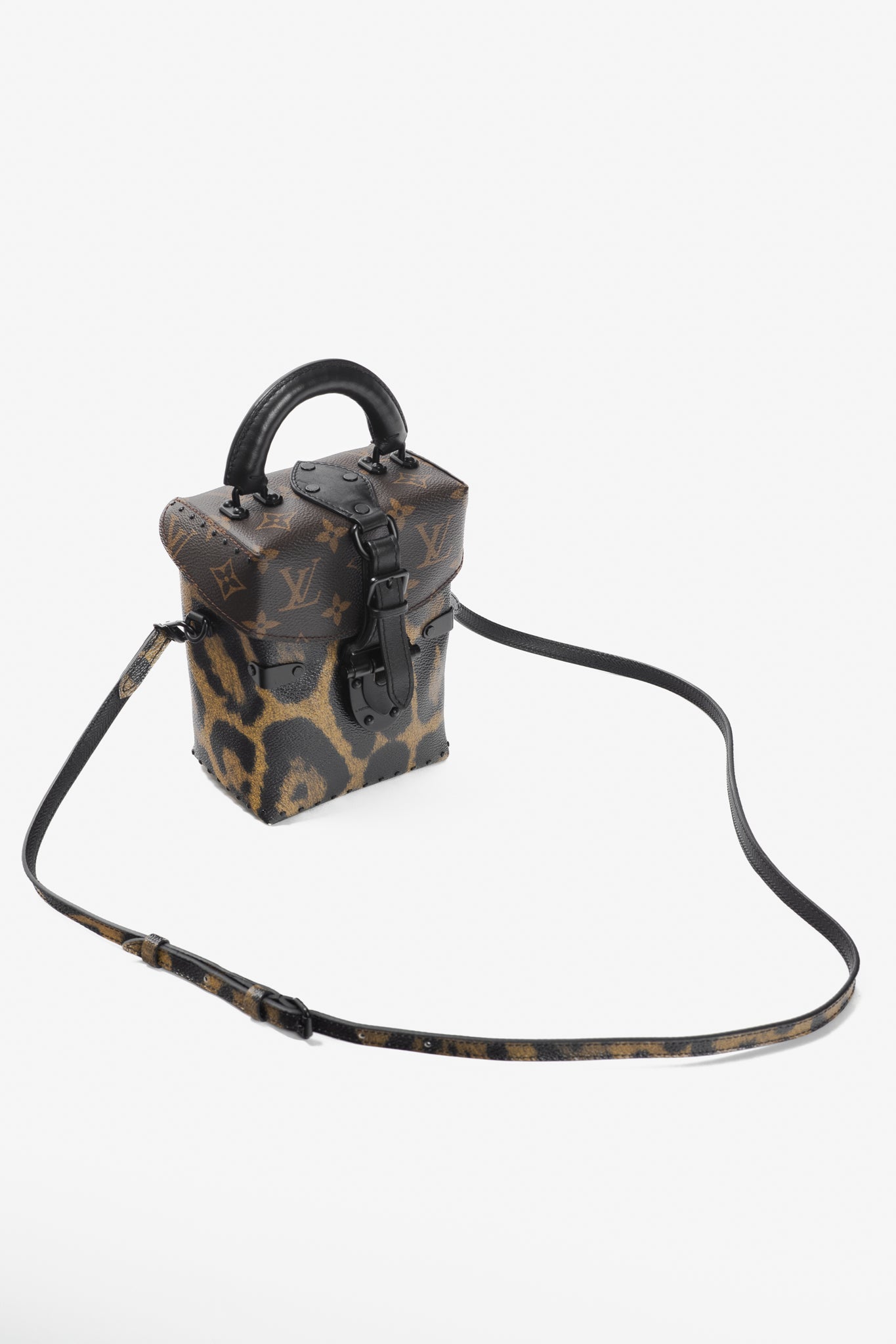 Louis Vuitton Camera Box Wild & Marron Monogram Canvas Handbag