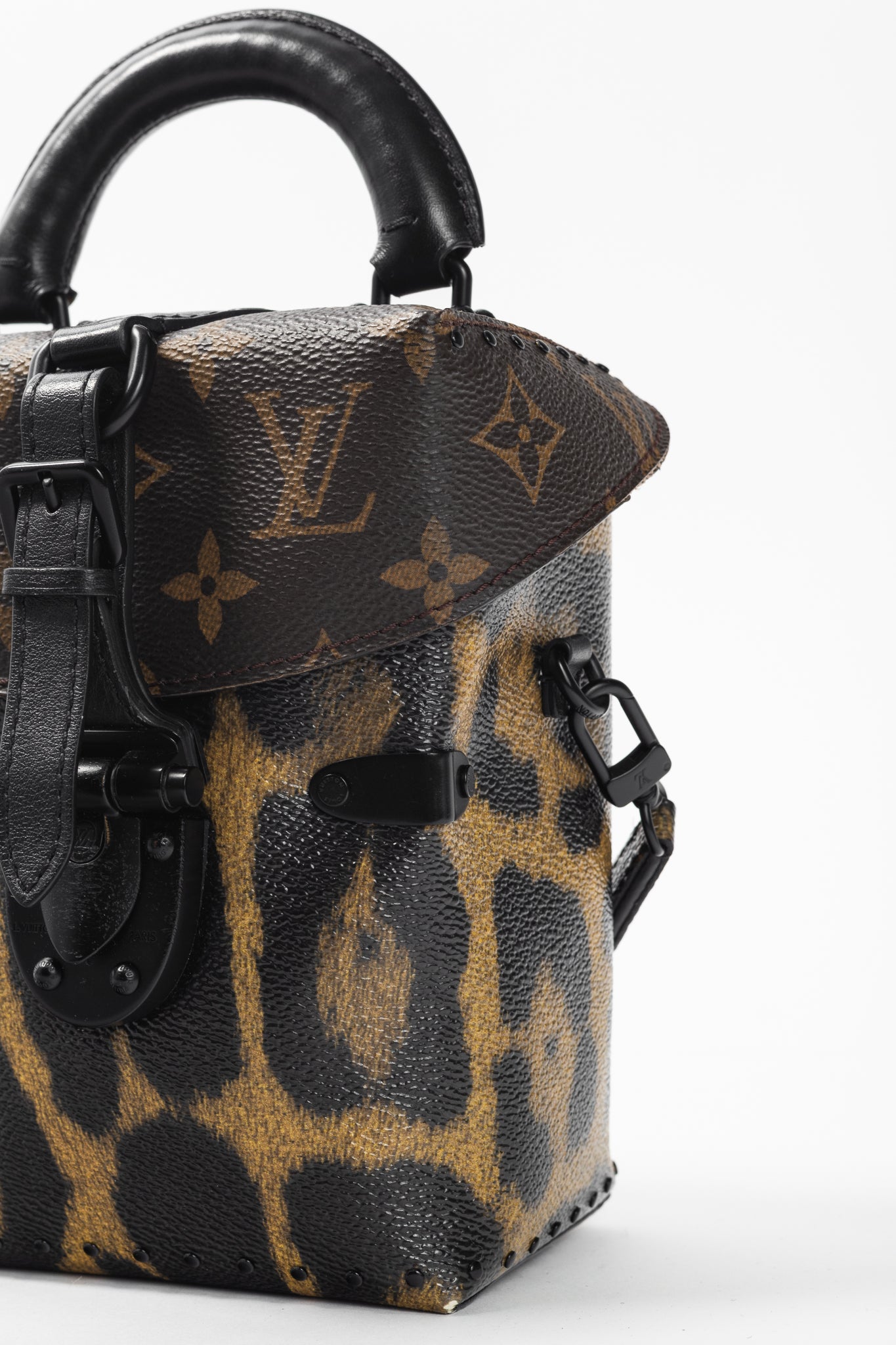 Louis Vuitton Camera Box Wild & Marron Monogram Canvas Handbag