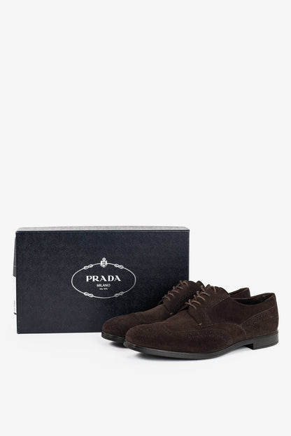 Prada Moro Suede Wingtip Derbies