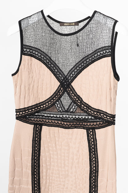 Roberto Cavalli Nude Snakeskin-Jacquard Knit Lace-Trim Dress
