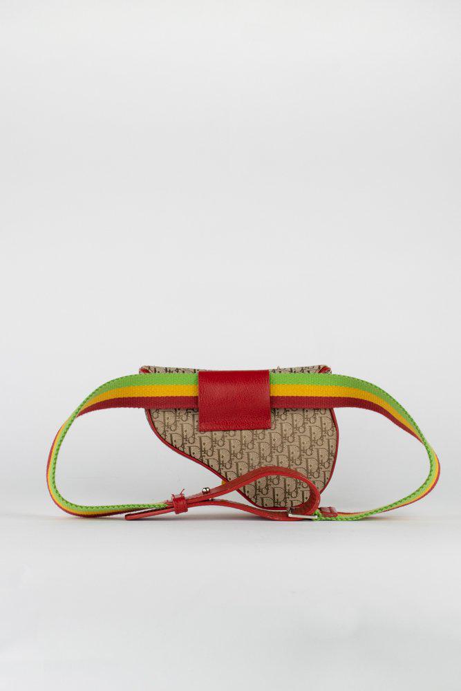 Dior Rasta Saddle Belt Bag