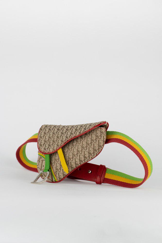 Dior Rasta Saddle Belt Bag