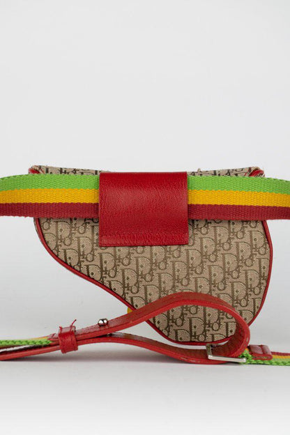 Dior Rasta Saddle Belt Bag