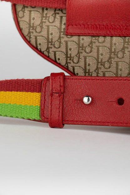 Dior Rasta Saddle Belt Bag