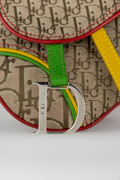 Dior Rasta Saddle Belt Bag