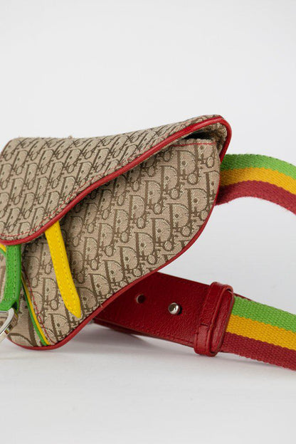 Dior Rasta Saddle Belt Bag