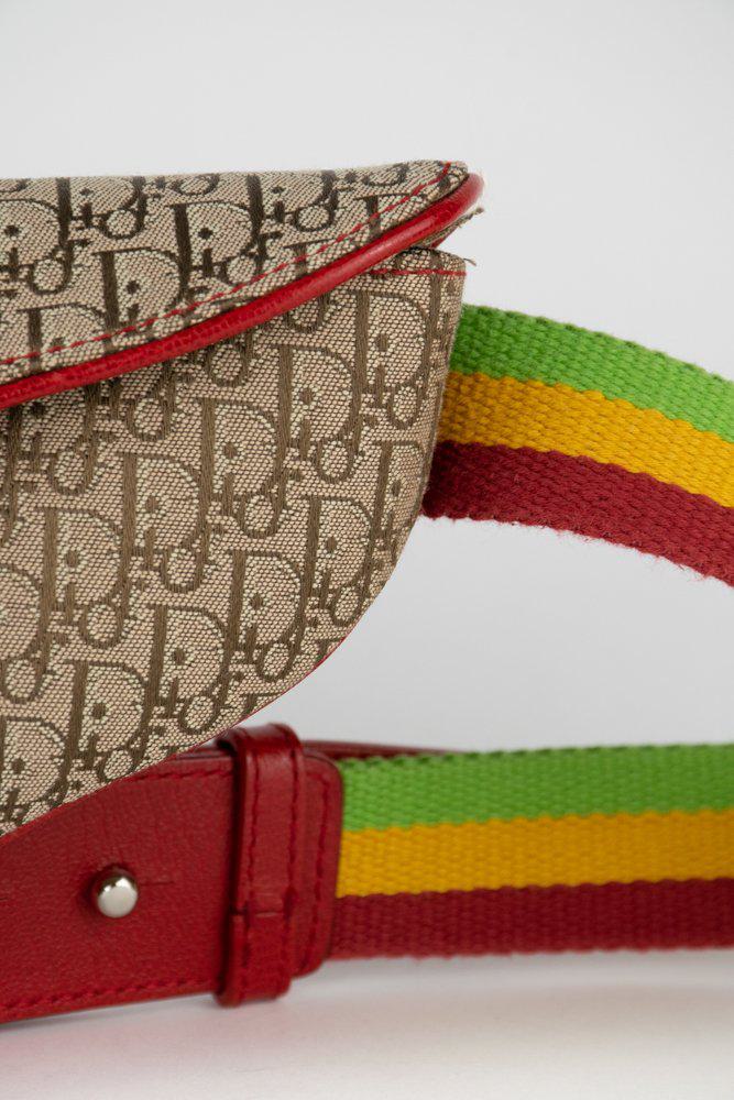 Dior Rasta Saddle Belt Bag