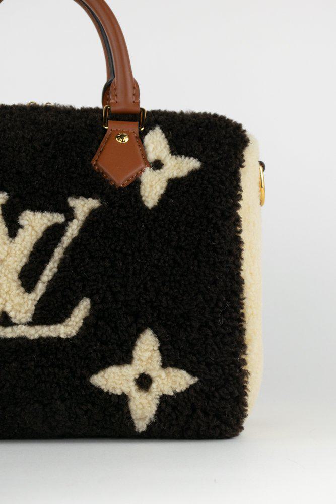 Louis Vuitton Monogram Teddy Shearling Speedy Bandoulière 25