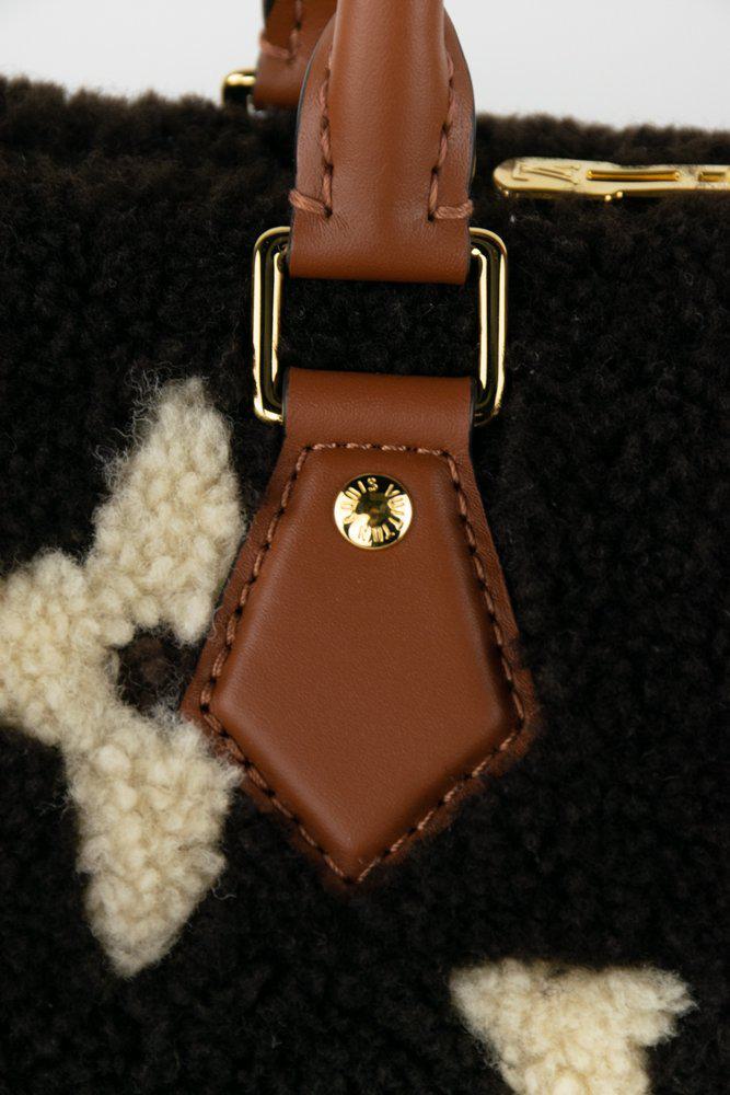 Louis Vuitton Monogram Teddy Shearling Speedy Bandoulière 25