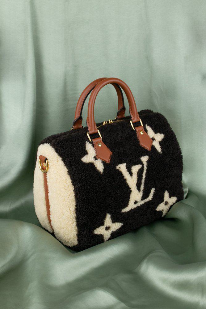 Louis Vuitton Monogram Teddy Shearling Speedy Bandoulière 25