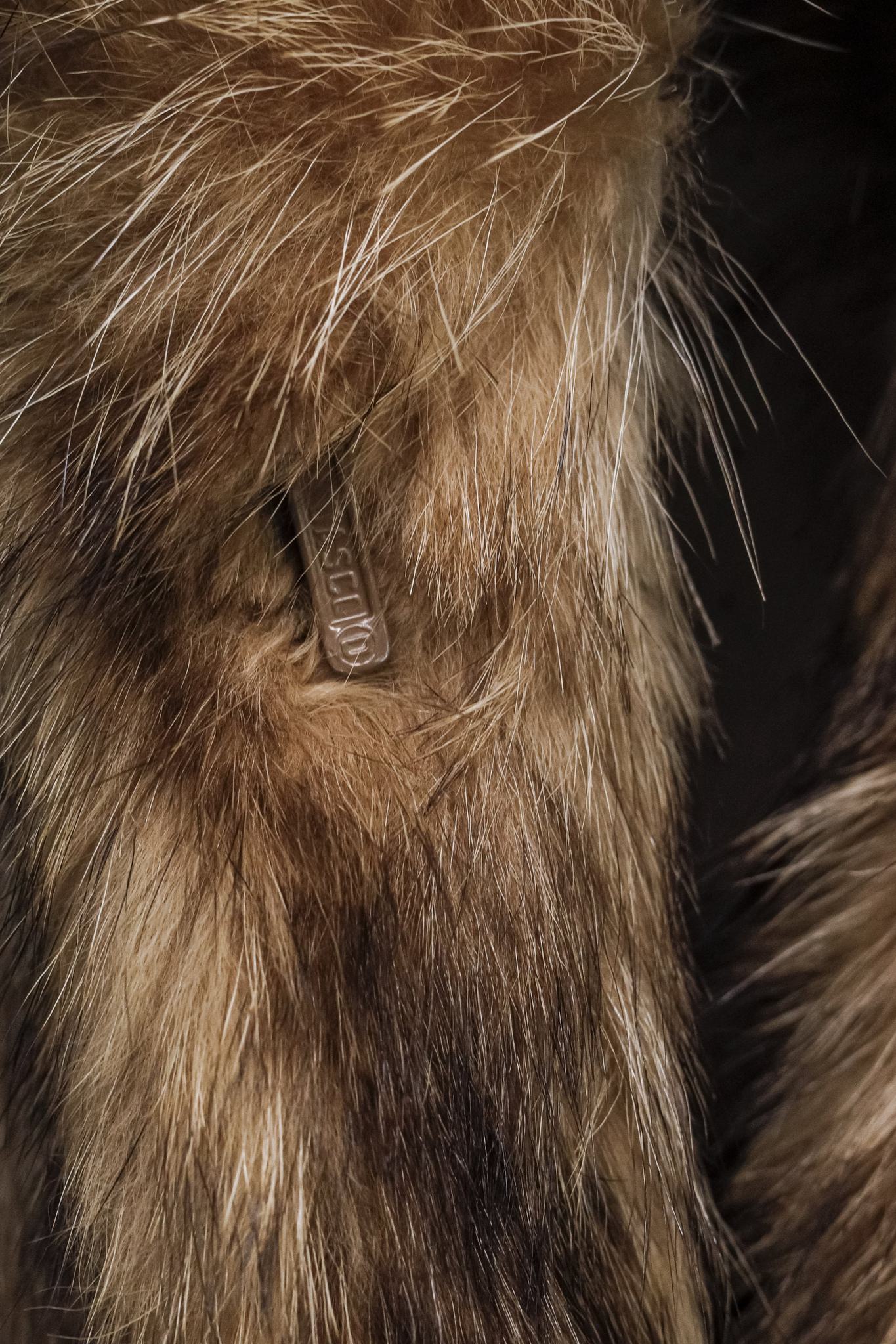 Blank Brown Mink Car Coat